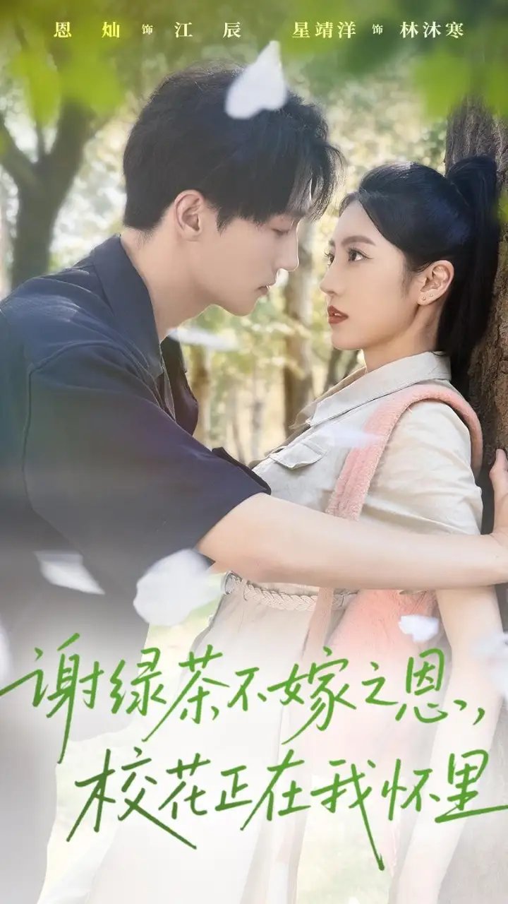 谢绿茶不嫁之恩校花正在我怀里 - 短剧短剧海报图片