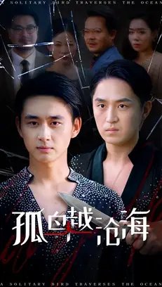 孤鸟越沧海 - 短剧短剧海报图片