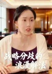 战略分歧的浪漫解法 - 短剧短剧海报图片