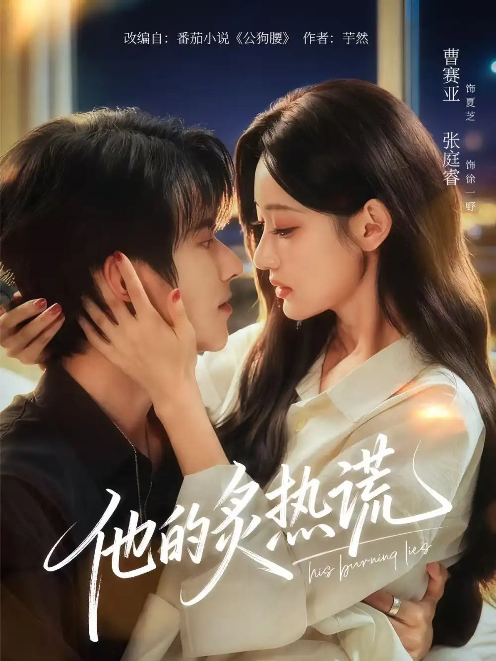 他的炙热谎 - 短剧短剧海报图片