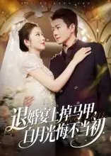 退婚宴上掉马甲，白月光悔不当初 - 短剧短剧海报图片