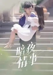 暗夜情事 - 短剧短剧海报图片