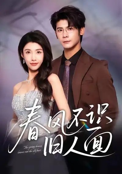 春风不识旧人面 - 短剧短剧海报图片