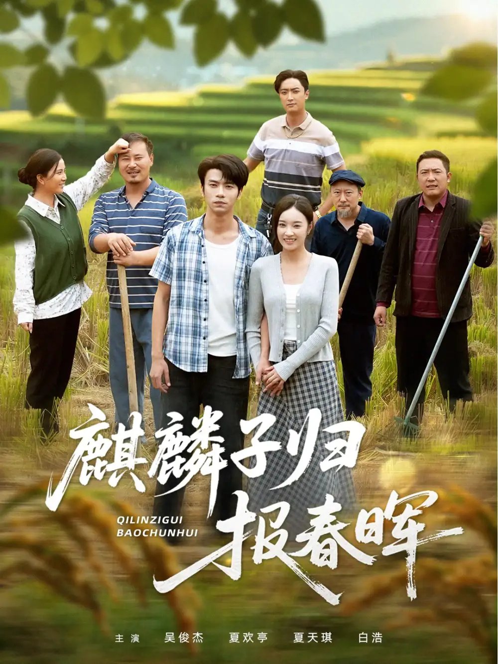 .麒麟子归报春晖 - 短剧短剧海报图片