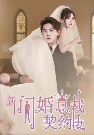 新：闪婚总裁契约妻