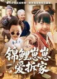 锦鲤崽崽爱拆家 - 短剧短剧海报图片