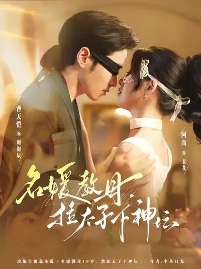 名媛教母，拉太子下神探 - 短剧短剧海报图片