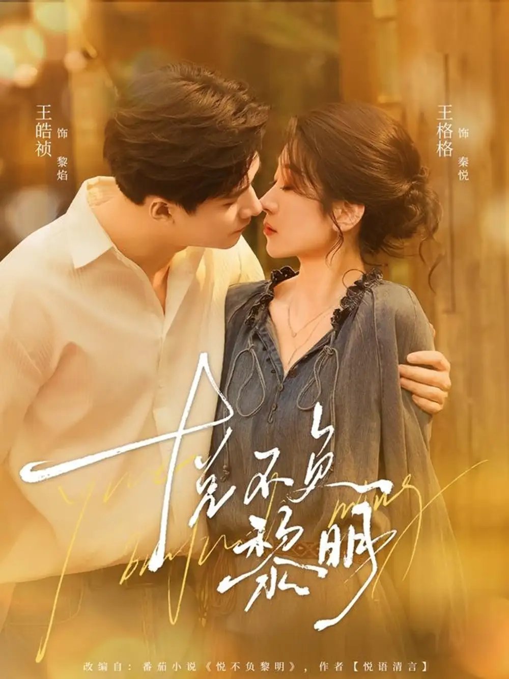 悦不负黎明 - 短剧短剧海报图片
