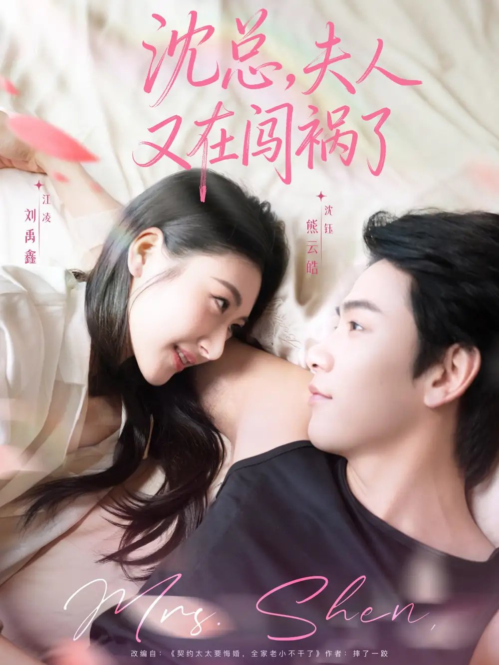 沈总夫人又在闯祸了 - 短剧短剧海报图片