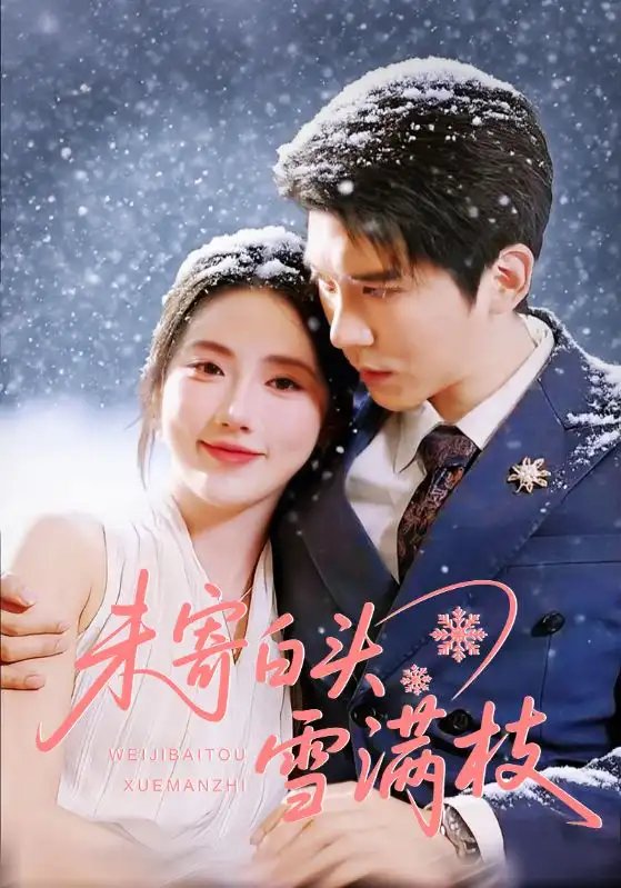 未寄白头雪满枝 - 短剧短剧海报图片