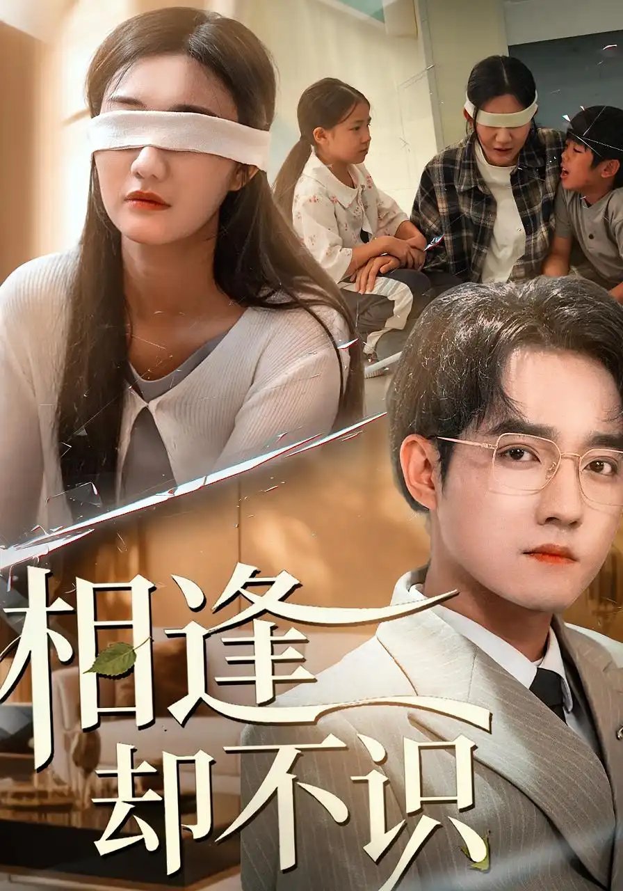 相逢却不识 - 短剧短剧海报图片