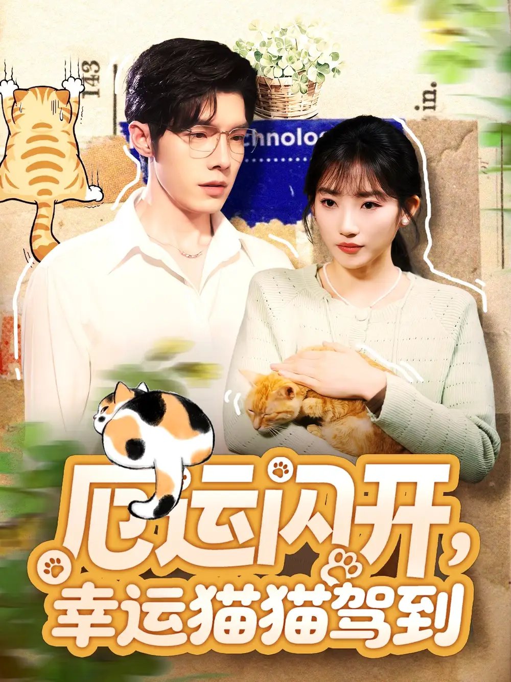 厄运闪开幸运猫猫驾到