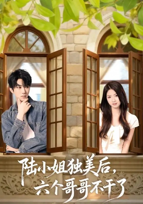.陆小姐独美后六个哥哥不干了 - 短剧短剧海报图片