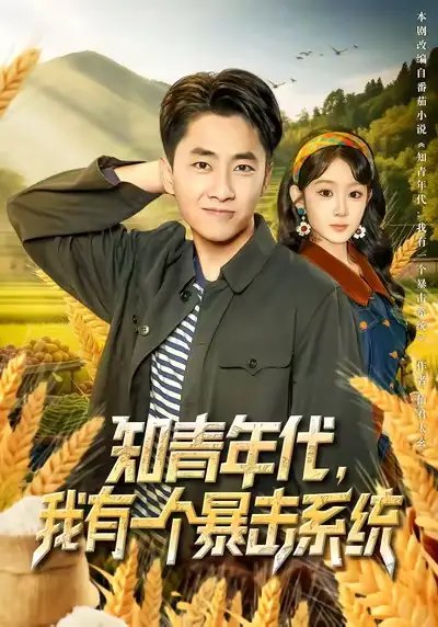 知青年代我有一个暴击系统 - 短剧短剧海报图片