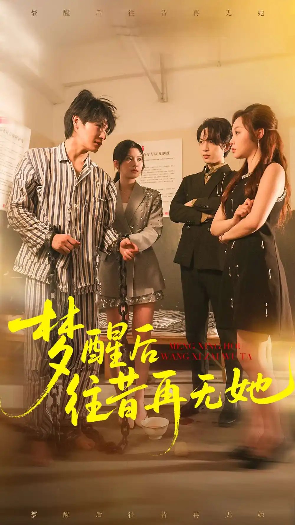 梦醒后往昔再无她 - 短剧短剧海报图片