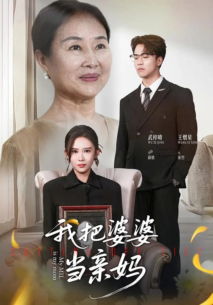 我把婆婆当亲妈 - 短剧短剧海报图片