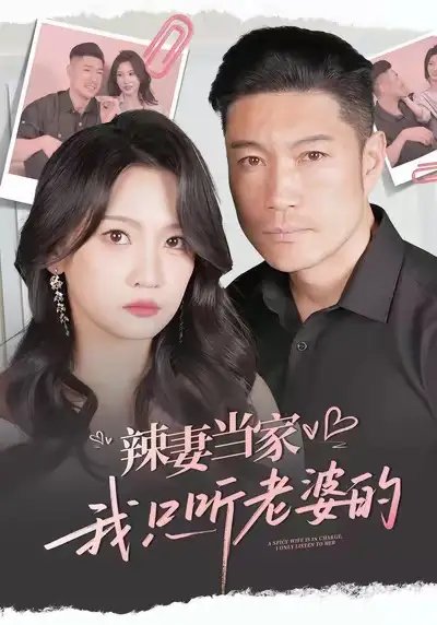 辣妻当家，我只听老婆的 - 短剧短剧海报图片
