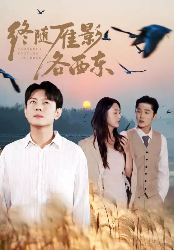 终随雁影各西东 - 短剧短剧海报图片
