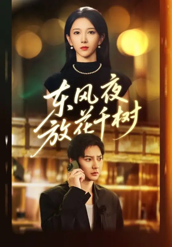 东风夜放花千树&＆燕西误尽瑶台月 - 短剧短剧海报图片