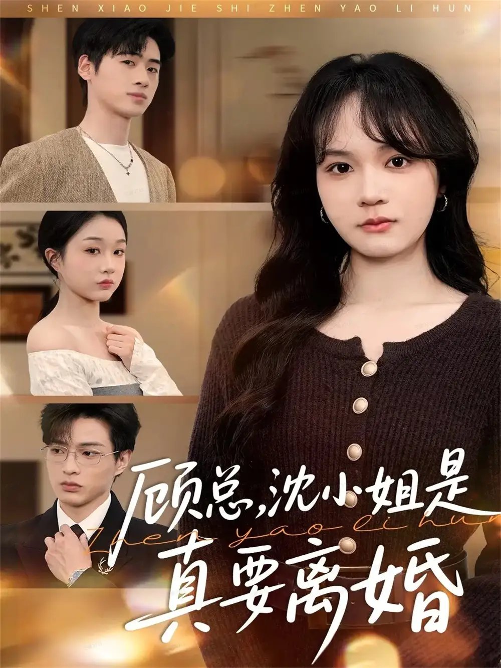 顾总，沈小姐是真的要离婚 - 短剧短剧海报图片