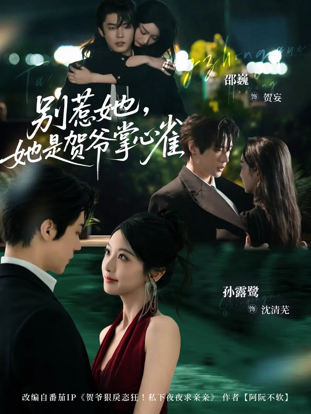 别惹她，她是贺爷掌心雀 - 短剧短剧海报图片
