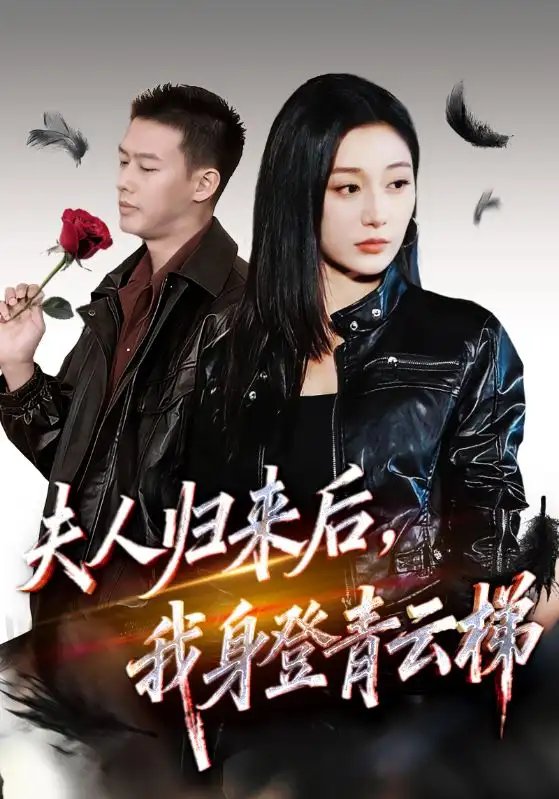 夫人归来后我身登青云梯&夫人助我踏巅峰 - 短剧短剧海报图片