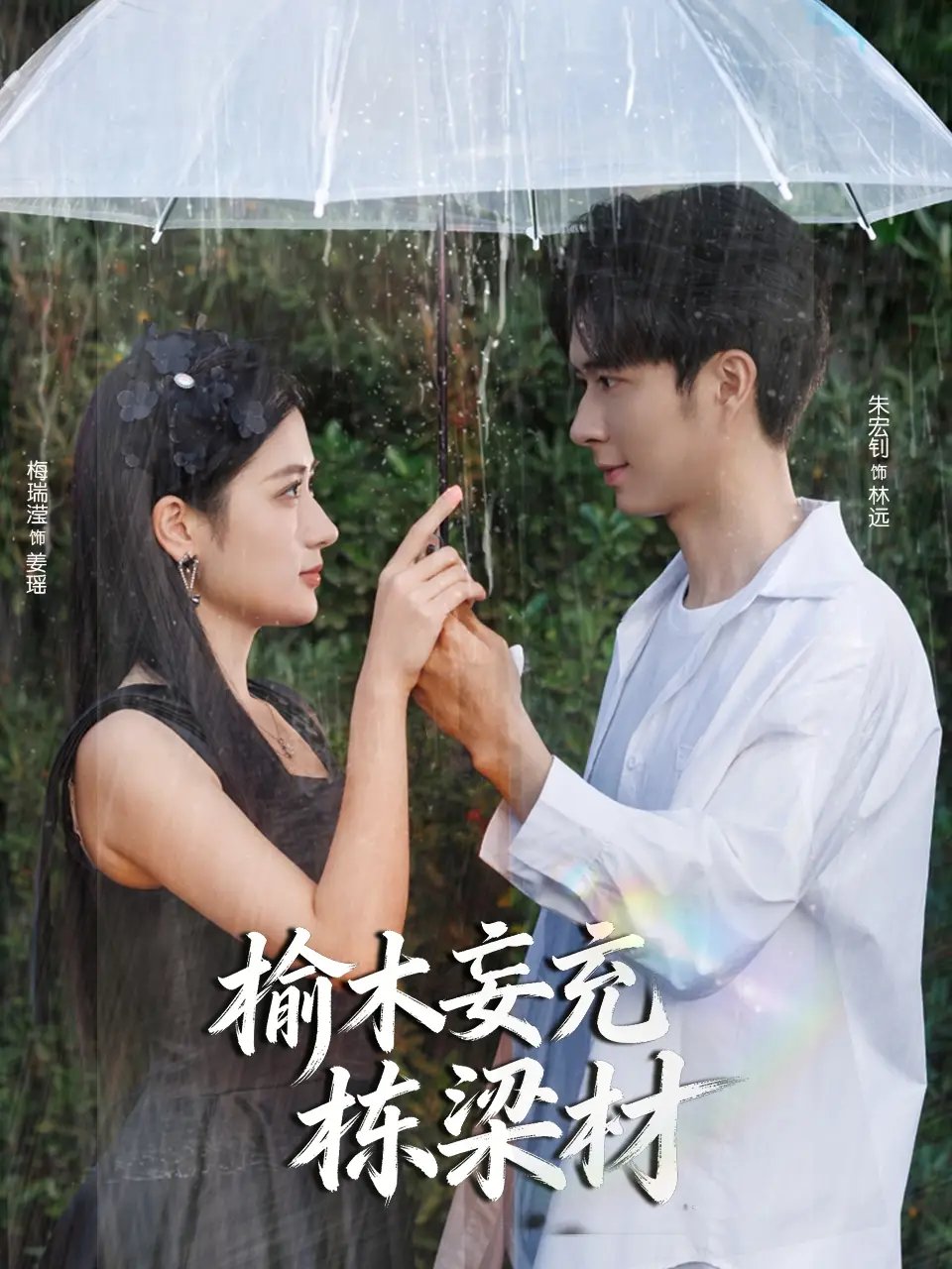 榆木妄充栋梁材 - 短剧短剧海报图片