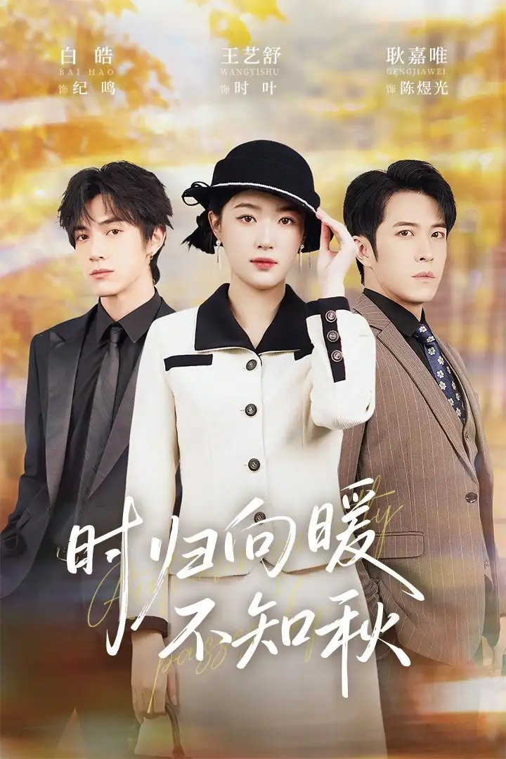 时归向暖不知秋&第二十八年冬 - 短剧短剧海报图片