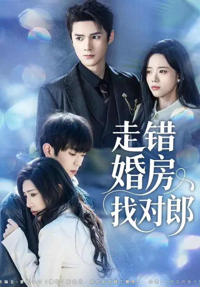 走错婚房找对郎 - 短剧短剧海报图片