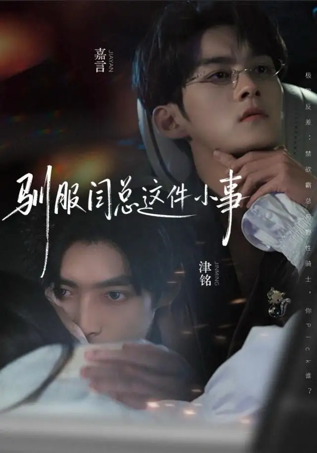 驯服闫总这件小事 - 短剧短剧海报图片