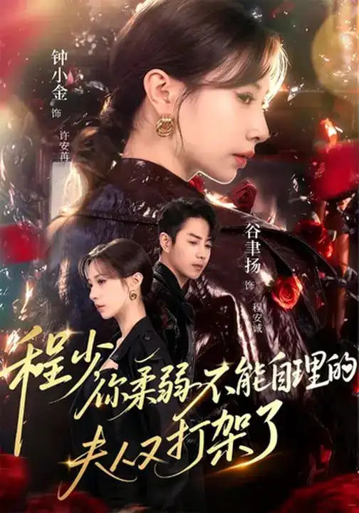 程少你柔弱不能自理的夫人又打架了 - 短剧短剧海报图片