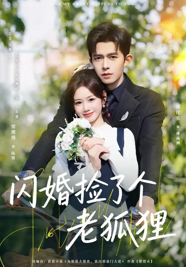 闪婚捡了个老狐狸 - 短剧短剧海报图片