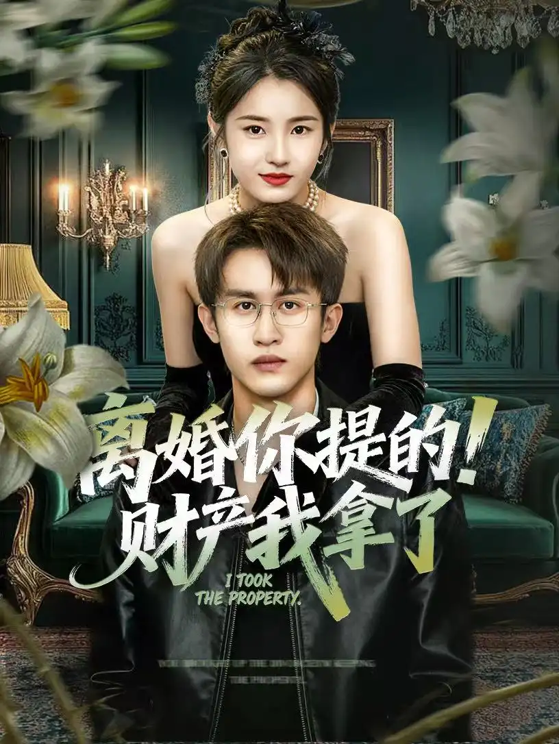 离婚你提的！财产我拿了 - 短剧短剧海报图片