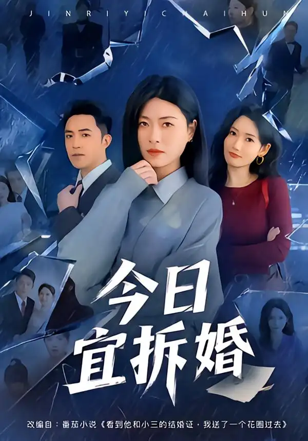 今日宜拆婚 - 短剧短剧海报图片