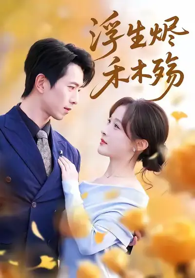 浮生烬禾木殇＆雾漫青衫沾白露 - 短剧短剧海报图片