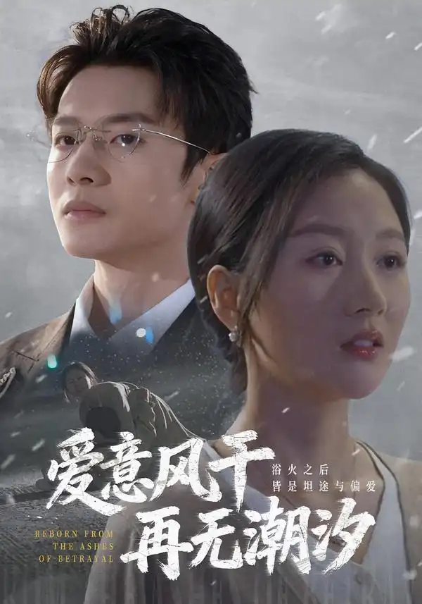 爱意风干再无潮汐 - 短剧短剧海报图片