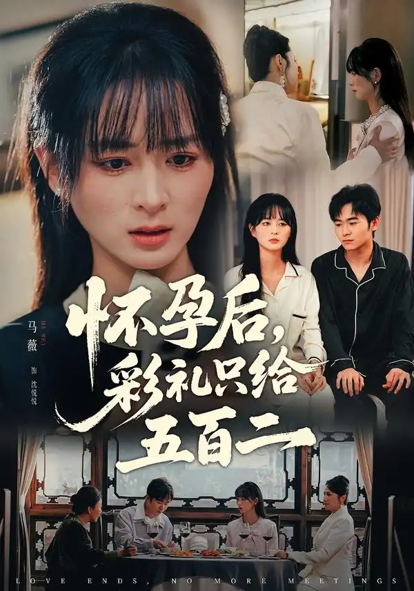 怀孕后，彩礼只给五百二 - 短剧短剧海报图片