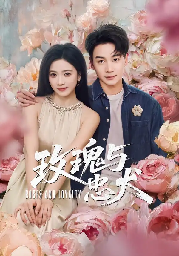 玫瑰与忠犬 - 短剧短剧海报图片