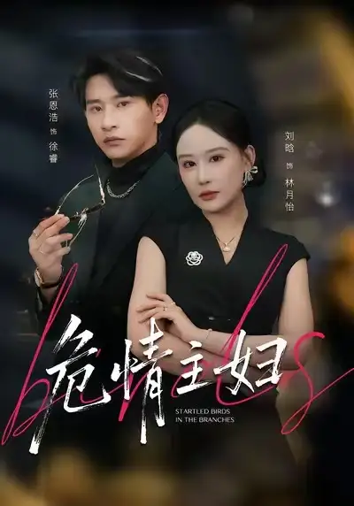 危情主妇 - 短剧短剧海报图片