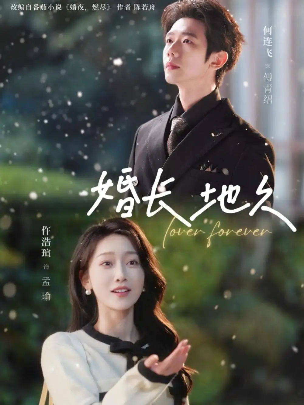 婚长地久 - 短剧短剧海报图片