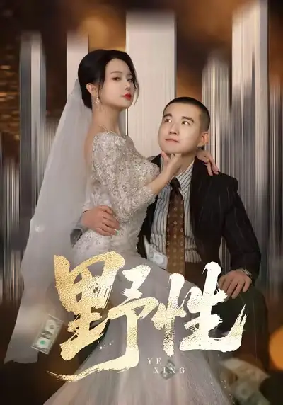 野性＆分手后，顶头上司要嫁我 - 短剧短剧海报图片