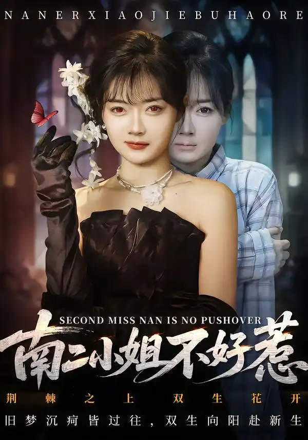 南二小姐不好惹 - 短剧短剧海报图片