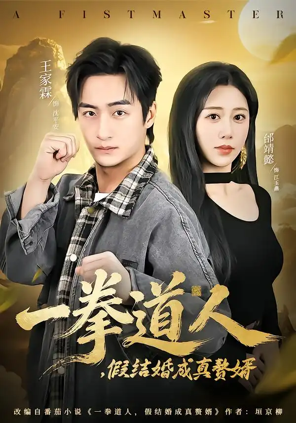 一拳道人，假结婚成真赘婿 - 短剧短剧海报图片