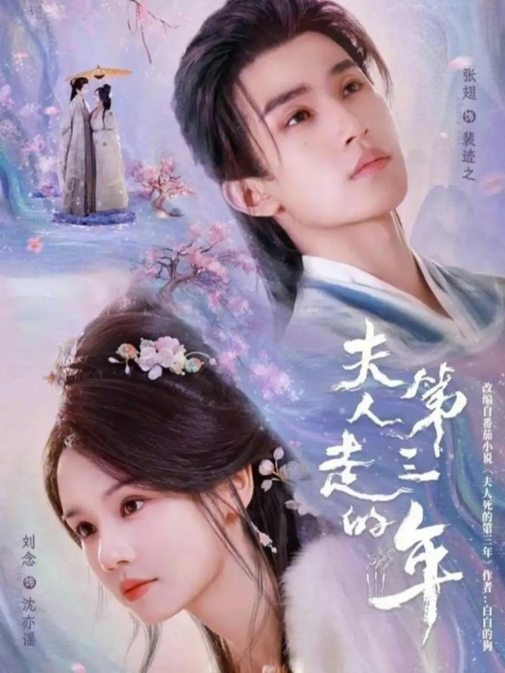 夫人走的第三年 - 短剧短剧海报图片