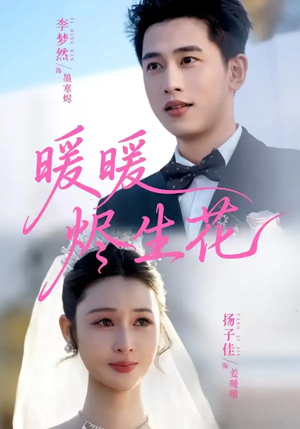 暖暖烬生花 - 短剧短剧海报图片