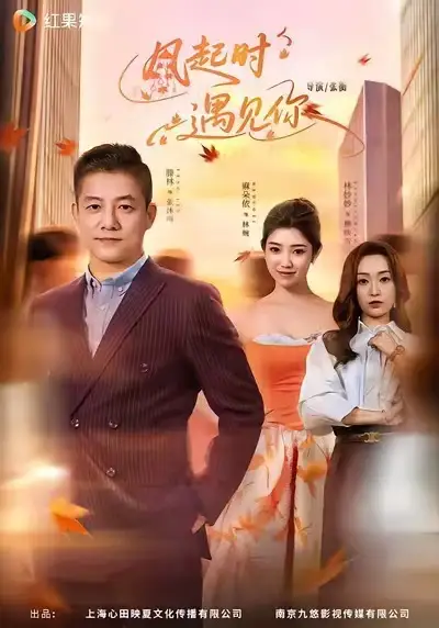 风起时遇见你 - 短剧短剧海报图片