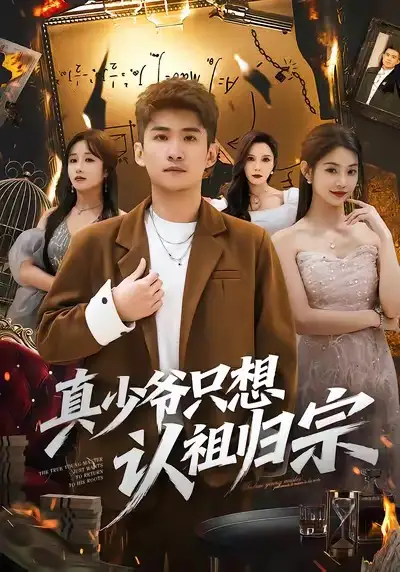 真少爷只想认祖归宗 - 短剧短剧海报图片