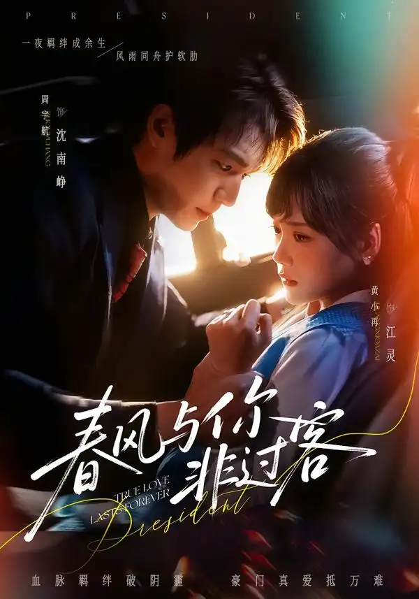 春风与你非过客 - 短剧短剧海报图片