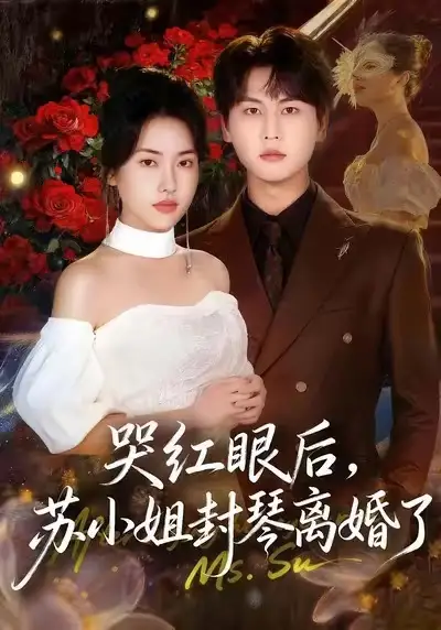 哭红眼后，苏小姐封琴离婚了 - 短剧短剧海报图片