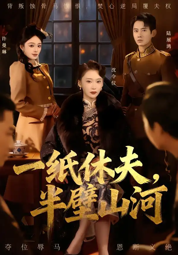 一纸休夫，半壁山河 - 短剧短剧海报图片
